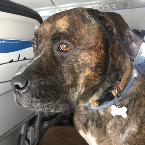 Meet your Posher, Timothy - Picture 2 of 4